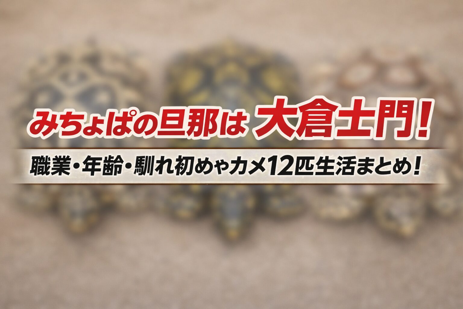 タイトル みちょぱの旦那は大倉士門！職業・年齢・馴れ初めやカメ12匹生活まとめ！ イメージアイキャッチ画像