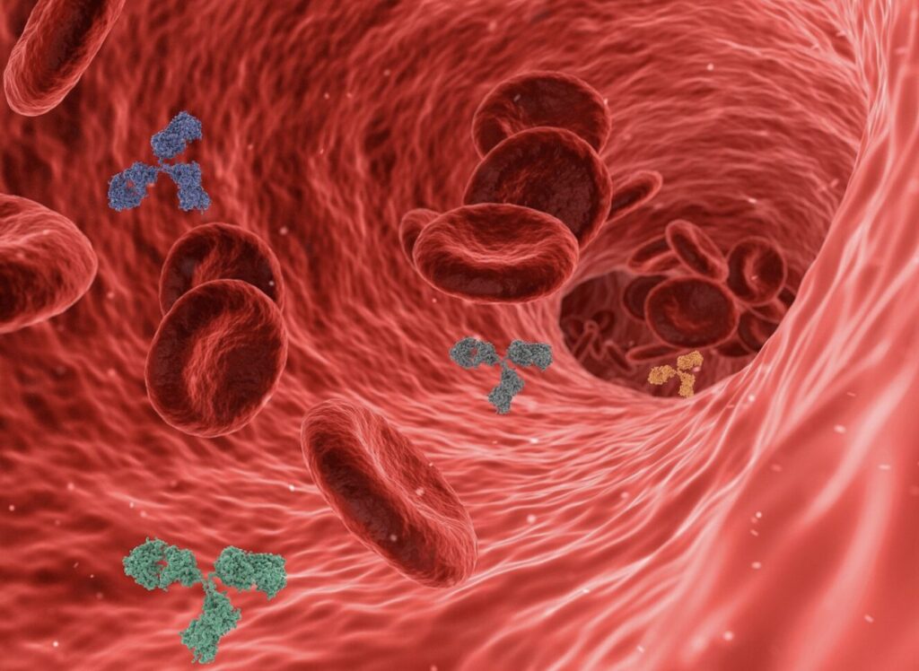 見出し
郷ひろみの年齢は70歳!血管年齢20代と測定された驚異の健康状態
イメージフリー素材画像