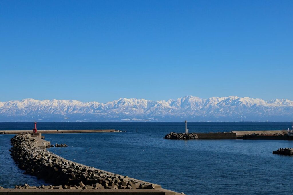 見出し
前田大輔のプロフィールと富山との深い繋がりイメージフリー画像
