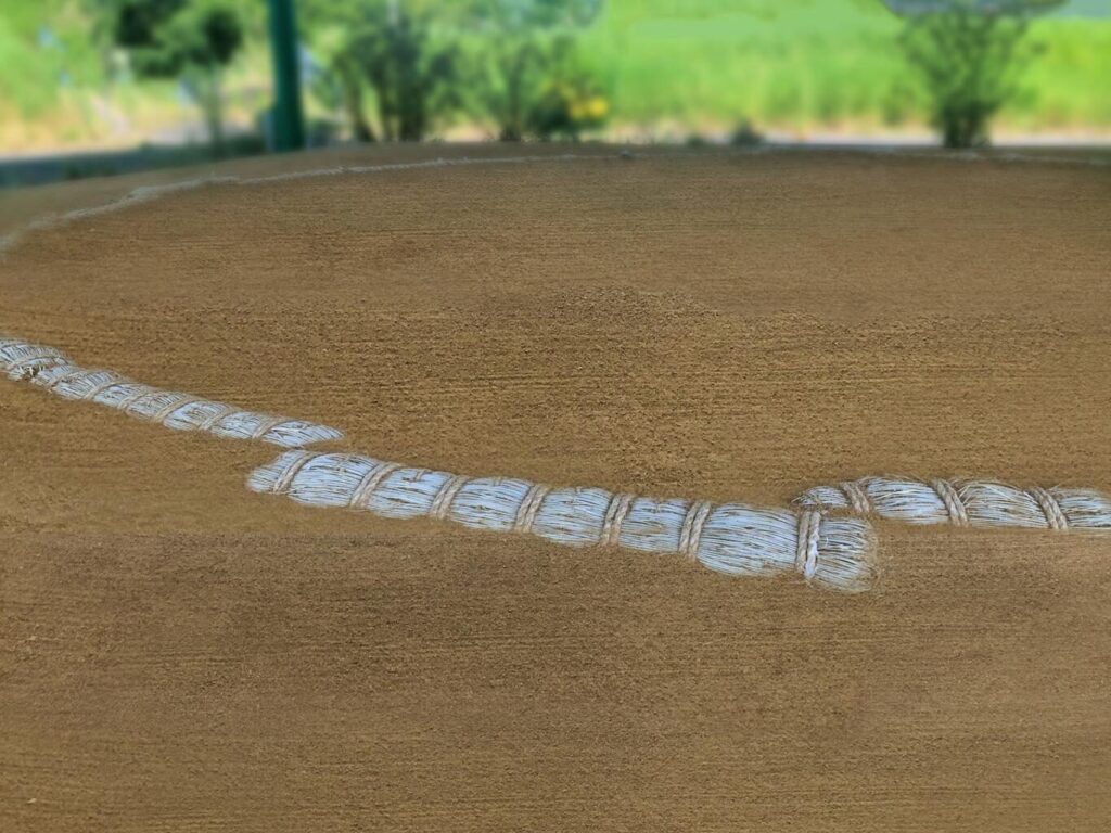 見出し
藤ノ川成剛の生い立ちと相撲との出会い
イメージ画像